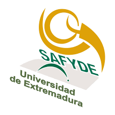Logo SAFYDE
